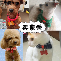 狗狗牌子定制猫防丢失挂饰挂牌名字吊牌刻字项链宠物猫咪铭牌