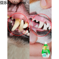 多美洁狗狗天然清新口气洁齿精华65ml除口臭牙齿结石菌斑清洁用品