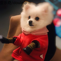 狗狗袜子鞋户外脚套防水防脏防滑泰迪比熊小型大型犬宠物冬季不