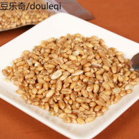 易种植有机猫种子 猫薄荷 猫零食化毛吐毛球调节肠胃30g*5包