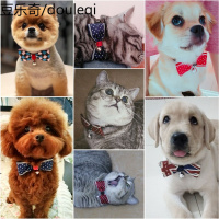 猫咪领结小狗狗蝴蝶结小型犬宠物泰迪领花柯基项圈英伦风领带饰品