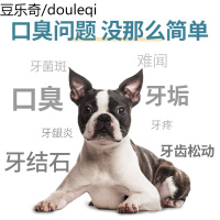 牙口乐洁齿骨磨牙棒去口臭泰迪柴犬柯基幼犬清洁牙齿宠物狗狗零食