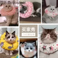 伊丽莎白圈软宠物猫咪头套防舔狗狗耻辱项圈伊利沙白脖圈绝育用品