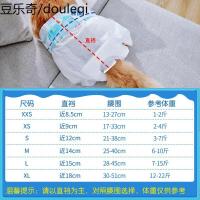 猫咪尿不湿穿戴小型生理安全公猫宠物卫生避孕防母猫用纸尿裤