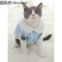 猫咪衣服可爱布偶英短蓝猫宠物猫猫秋冬季保暖幼猫小奶猫加厚冬装
