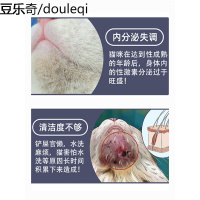 猫咪黑下巴毛囊炎专用猫免洗泡沫干洗杀螨宠物沐浴露用品去油