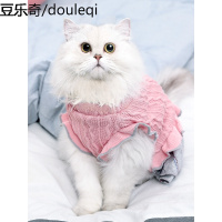 猫咪衣服布偶连衣裙宠物冬天冬装公主裙子加菲英短幼猫小奶猫服饰