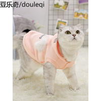 小猫咪衣服暹罗布偶的可爱秋天冬装蓝猫加菲英短幼猫冬季宠物服装