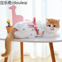 猫咪裙子女连衣裙英短蓝猫公主小猫猫夏季夏天夏装薄款宠物的衣服