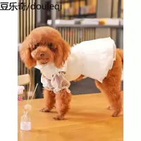 小狗狗衣服泰迪比熊博美小鹿犬小型幼犬冬季宠物可爱公主婚纱礼服