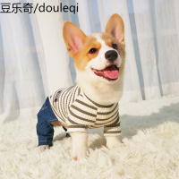 柯基衣服小狗狗泰迪吉娃娃约克夏宠物小型幼犬春季春装四脚春秋款