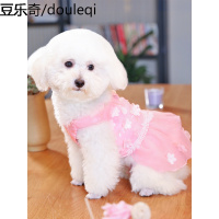 小狗狗衣服比熊泰迪博美小型幼犬宠物公主裙可爱夏装薄款网红裙子