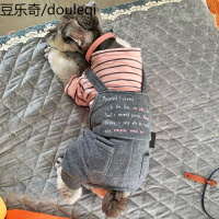 雪纳瑞衣服小狗狗泰迪比熊柯基四脚夏季薄款小型幼犬宠物的春秋款