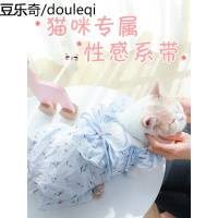 小猫咪衣服宠物春夏装薄款可爱奶幼猫蓝猫英短无毛夏天的公主裙子