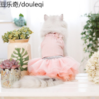 猫咪衣服夏季薄款公主裙可爱美短英短猫猫衣服春夏宠物夏衣服