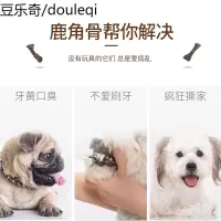 狗玩具骨头磨牙棒耐咬金毛拉布拉多大型小型犬幼犬哈士奇宠物用品