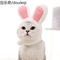 猫咪头套小猫帽子搞怪装扮宠物猫猫搞笑生日帽可爱兔子兔耳朵头饰