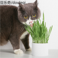 pidan猫套装宠物猫咪英短布偶幼成猫催吐毛球猫咪猫种植零食