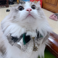 猫咪围脖饰品小奶猫宠物布偶蓝猫围巾口水巾圆领甜美可爱围兜狗狗