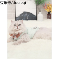 猫咪秋冬衣服幼猫小奶猫加绒英短布偶加菲猫宠物服装暹罗可爱冬装