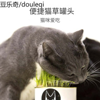 joycat猫罐头懒人猫种子猫零食种孑吐毛球水培种籽盆栽已种好