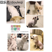 狗狗剃毛器宠物电推剪狗推子猫咪泰迪理发剪毛神器剃脚毛工具用品