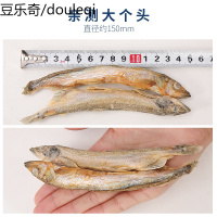 美人喵猫零食小鱼干冻干多春鱼满籽猫咪营养增肥发腮成幼猫50g*5