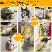 抖音网红仿真鱼3D鲤鱼抱枕逗猫棒幼猫发泄耐抓毛绒猫咪玩具猫薄荷