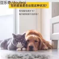 宠物猫用卵磷脂狗海藻爆毛粉猫咪营养品软磷脂防脱毛美毛幼犬泰迪