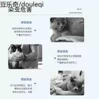 吡喹酮片猫咪狗狗体内驱虫药除杀寄生虫药成猫中大型犬专用