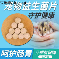 小宠益生菌片仓鼠金丝熊荷兰猪豚鼠兔子龙猫调节肠胃助10片装
