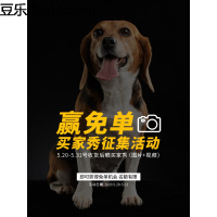 去耳螨湿巾猫用狗用中耳炎洗油耳屎软化狗狗猫咪耳朵痒清洁用品