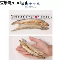 小鱼干美人喵满籽多春鱼冻干无盐营养增肥发腮网红猫咪零食50g