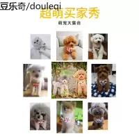狗狗牵引绳遛狗绳泰迪比熊中小型犬狗背带背心式猫咪宠物狗狗用品