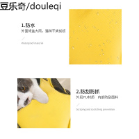 猫包外出便携太空舱双肩背包宠物夏透气猫书包笼子猫咪狗狗外出包