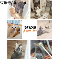 逗猫棒长杆耐咬小猫猫玩具猫薄荷羽毛铃铛老鼠自嗨磨牙棒猫咪用品