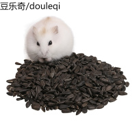 仓鼠主粮仓鼠营养粮食仓鼠饲料天然磨牙生瓜籽小黑瓜子磨牙棒零食