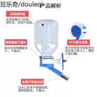 水壶仓鼠荷兰猪龙猫兔子水瓶松鼠天竺鼠饮水器