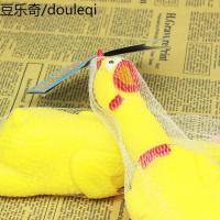 狗狗发声玩具尖叫惨叫鸡玩具鸡绝望鸡耐咬宠物狗用品玩具幼犬泰迪