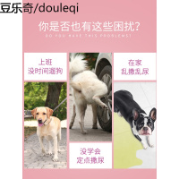 防乱尿狗狗尿垫片布宠物尿不湿用品泰迪公母狗专用生理内裤