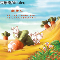 仓鼠兔子天竺鼠龙猫饼砖 手工胡萝饼 1个装 买5送1