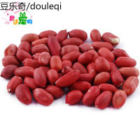 仓鼠红皮花生 宠物 兔子 豚鼠 龙猫仓鼠零食 100g