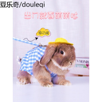 兔子衣服兔兔保暖背心服饰垂耳兔猫猫兔成兔幼兔过冬用品