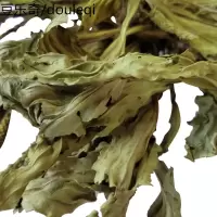 大叶车前干 50g