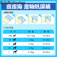 小狗狗生理裤月经裤泰迪纸尿裤宠物尿不湿母狗姨妈巾卫生巾安全裤