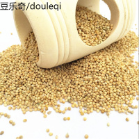 带壳小米/虎皮牡丹玄凤鹦鹉/文鸟/鸟食谷子/鸟粮/ 500克