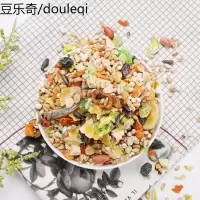 洁西（JESSIE）缤纷蔬菜仓鼠粮 金丝熊粮 鼠粮 海鲜蔬果成分 500g