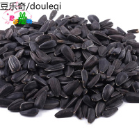 洁西 仓鼠 黑瓜子 小黑瓜子 珍珠瓜子 100克