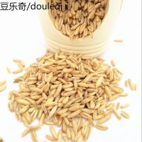 燕麦仁/虎皮鹦鹉/燕麦米/鸟食/鸟粮/牡丹玄风 仓鼠爱吃 250g