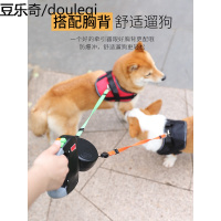 泰迪狗绳子牵引绳伸缩双头一拖二小型狗狗千引绳链子大型金毛幼犬